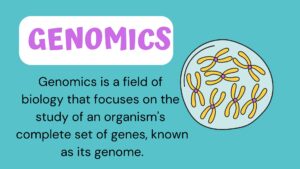 Understanding Genomics - Concepts, Study Approaches, and Types
