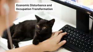 Economic Disturbance and Occupation Transformation