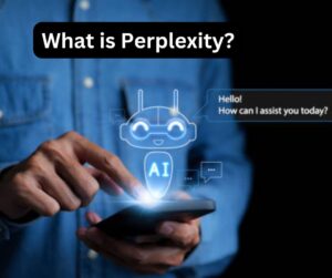 What is Perplexity?