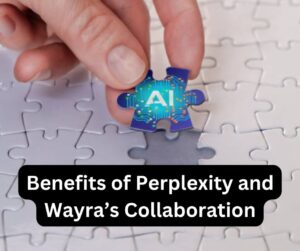 Benefits of Perplexity and Wayra’s Collaboration