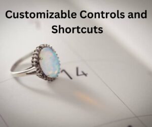 Customizable Controls and Shortcuts